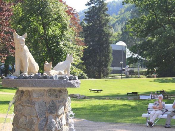 Ferienwohnungen Am Elfenstein บัดฮาร์ซบวร์ก ภายนอก รูปภาพ